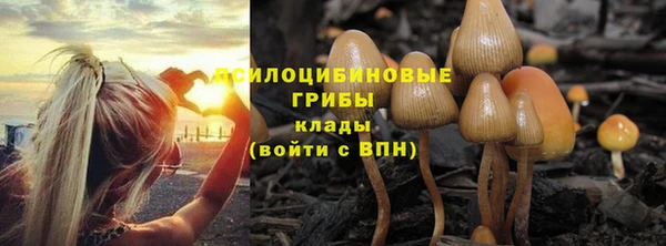 марки nbome Нефтегорск