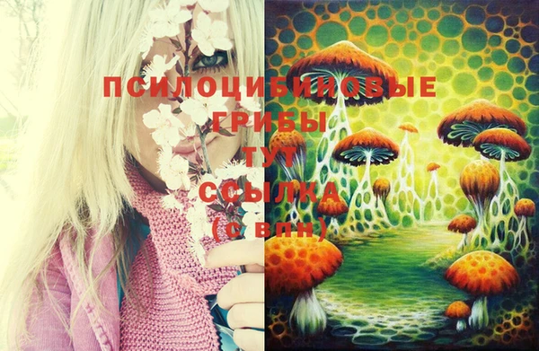 марки nbome Нефтегорск