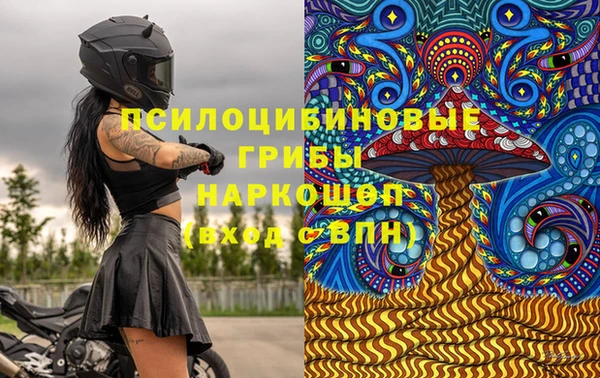 ПСИЛОЦИБИНОВЫЕ ГРИБЫ Нефтекумск