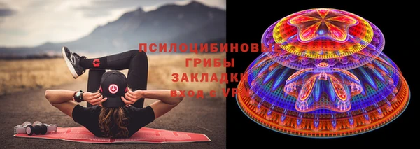 ПСИЛОЦИБИНОВЫЕ ГРИБЫ Нефтекумск