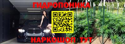 стаф Ирбит