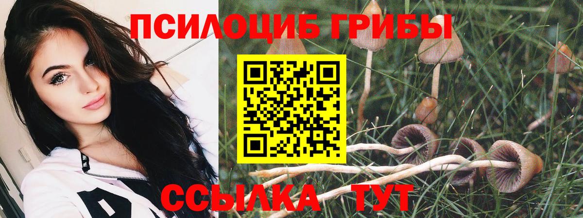цена   Вход с VPN  Приморско-Ахтарск  Псилоцибиновые грибы мицелий 